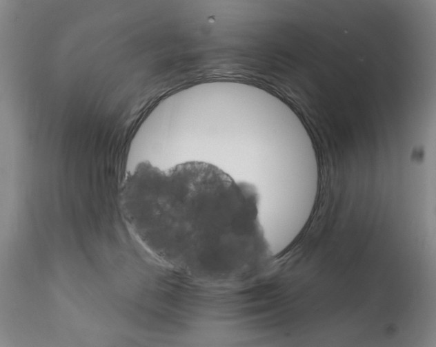 X0000111510670200908251114