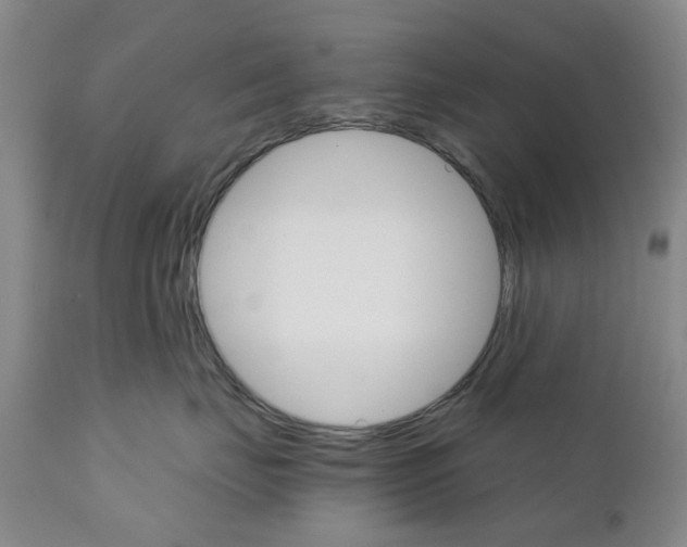 X0000111510671200908251114
