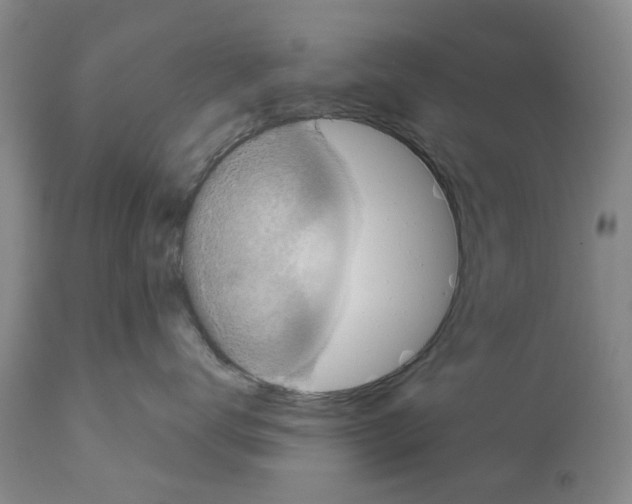 X0000111510672200908251114