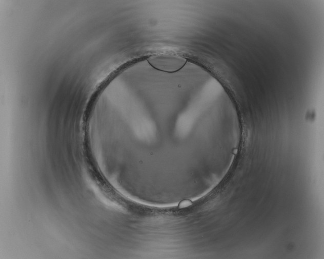 X0000111510674200908251113