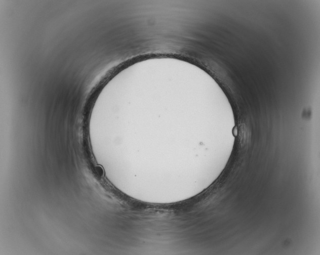 X0000111510676200908251113
