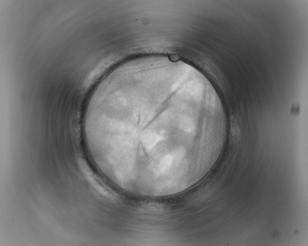 X0000111510677200908251113