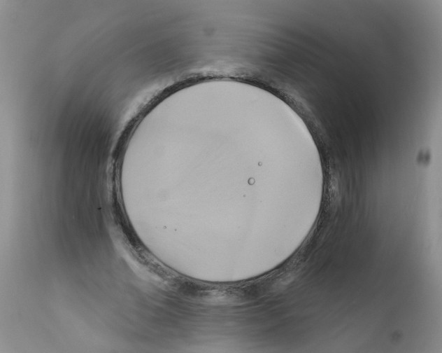 X0000111510678200908251113