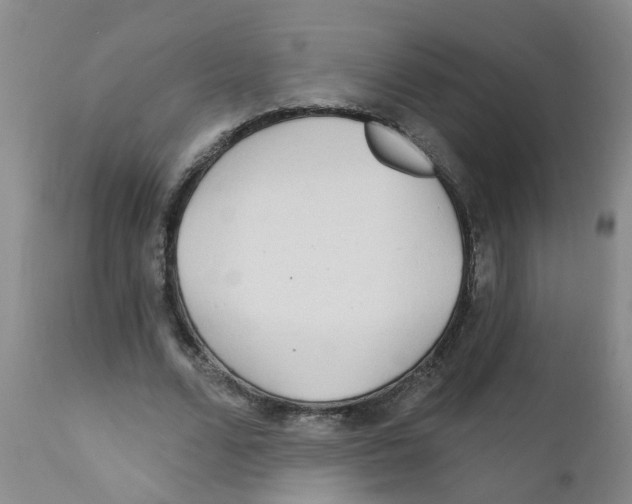 X0000111510680200908251113