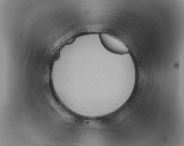 X0000111510681200908251113