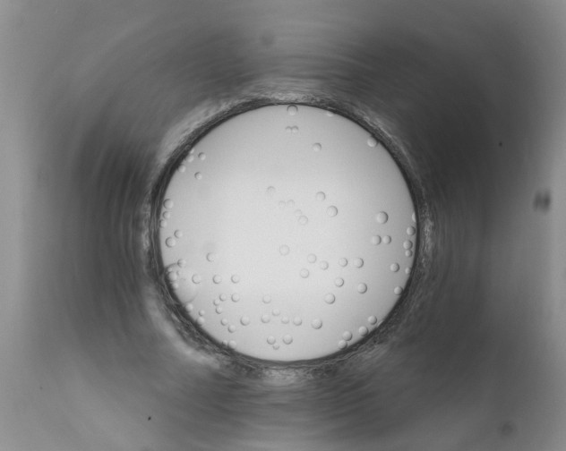 X0000111510682200908251113