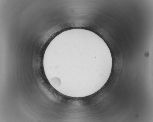 X0000111510683200908251113