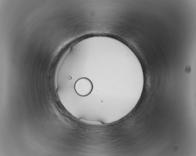 X0000111510684200908251113