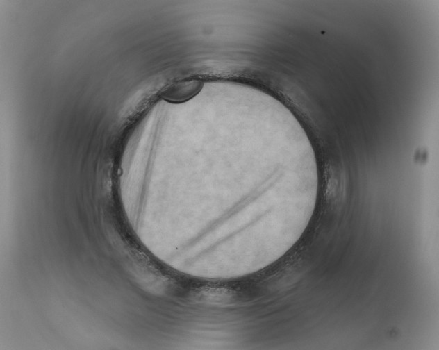 X0000111510685200908251113