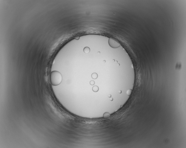X0000111510686200908251113