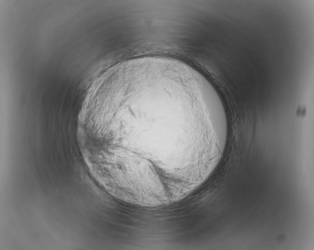 X0000111510687200908251113