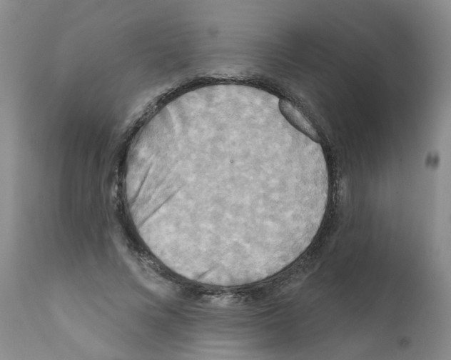 X0000111510688200908251113