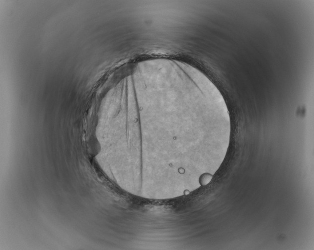 X0000111510689200908251113
