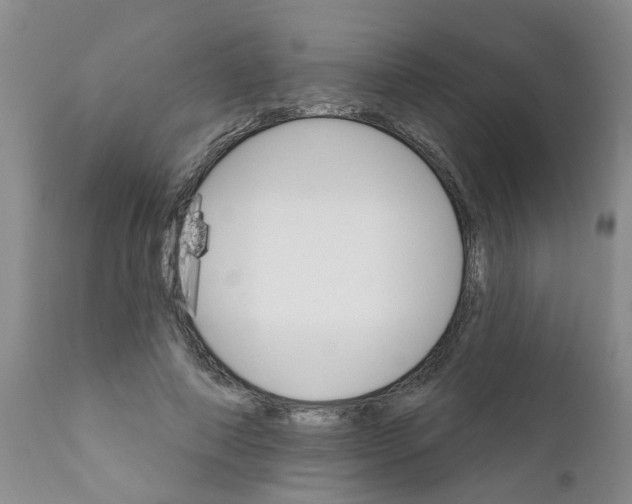 X0000111510690200908251113