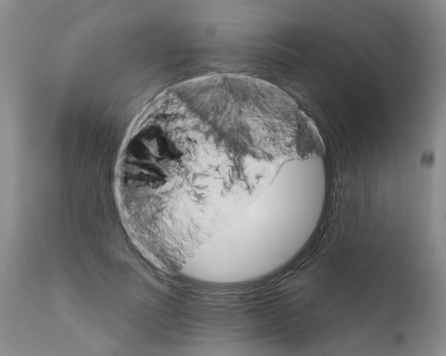 X0000111510691200908251113