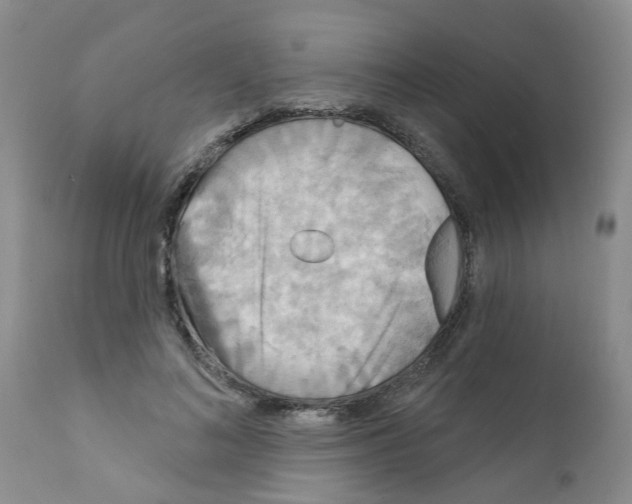 X0000111510692200908251113