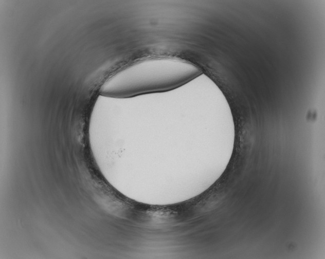 X0000111510693200908251113