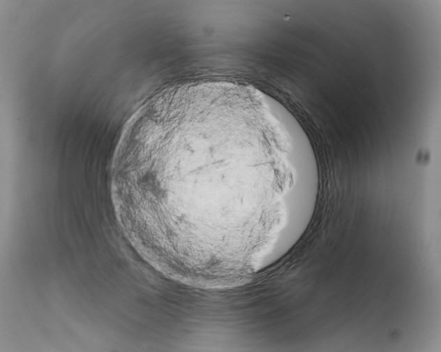 X0000111510695200908251113