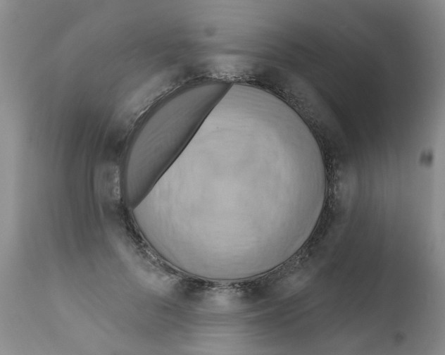 X0000111510696200908251113