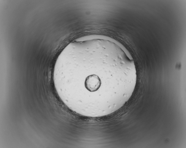 X0000111510697200908251113