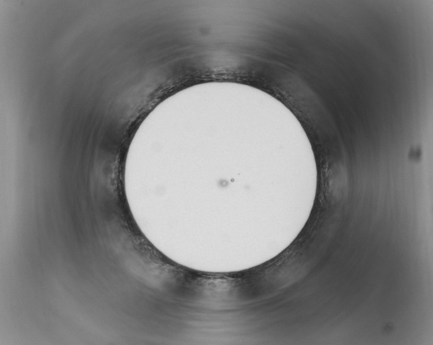 X0000111510698200908251113