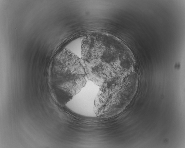 X0000111510699200908251113