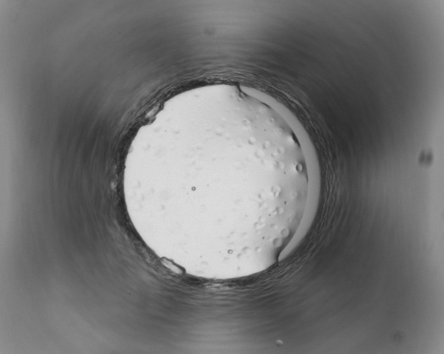 X0000111510701200908251113