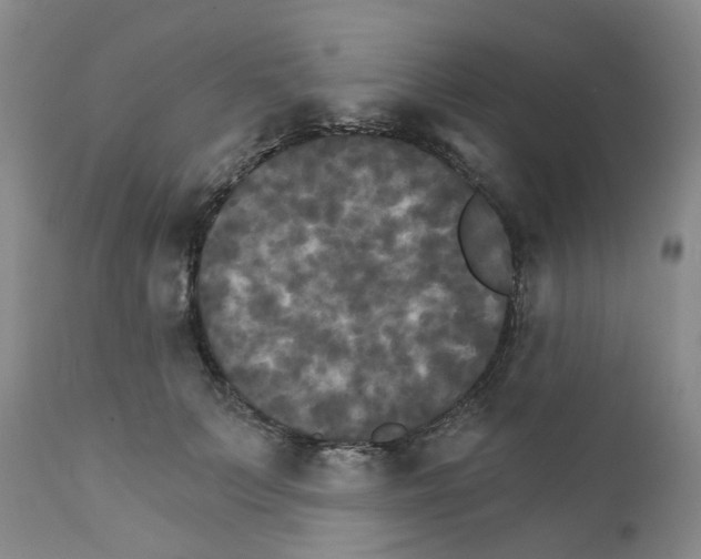 X0000111510703200908251113