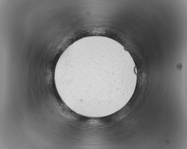 X0000111510704200908251113