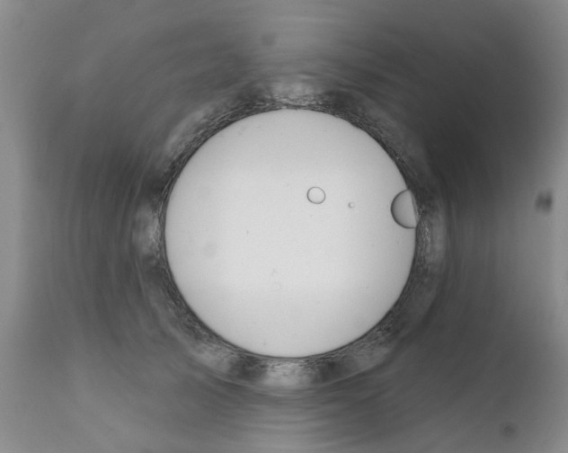 X0000111510705200908251113