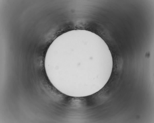 X0000111510706200908251113