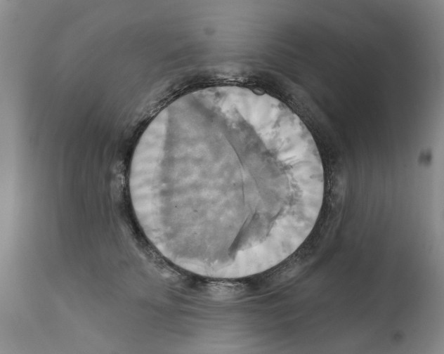 X0000111510707200908251113