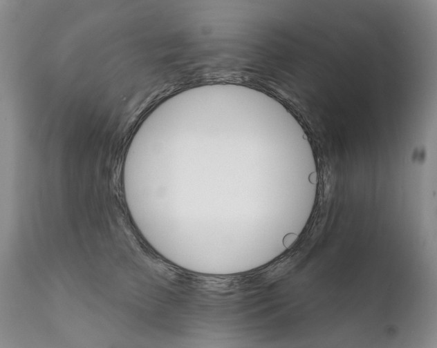 X0000111510709200908251113