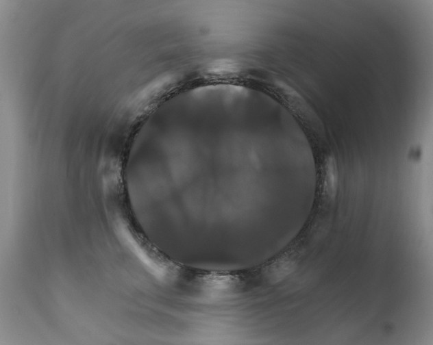 X0000111510711200908251113
