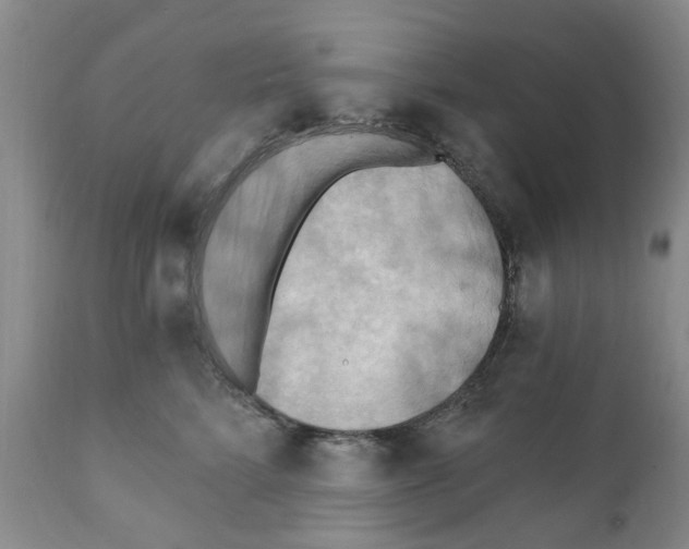 X0000111510712200908251113