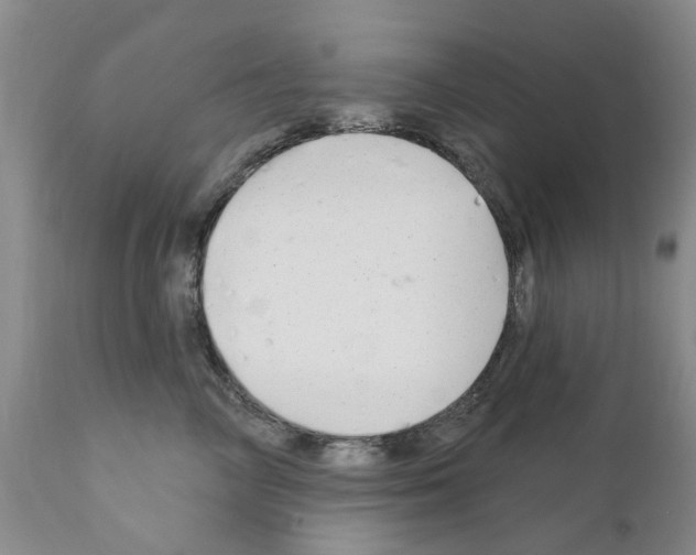X0000111510714200908251113