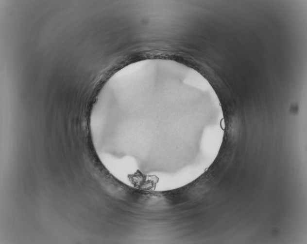 X0000111510715200908251113