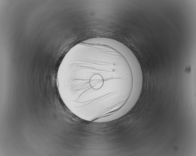 X0000111510716200908251113