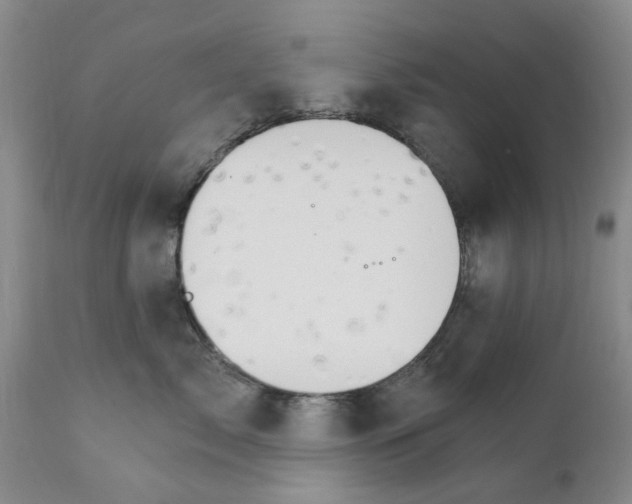 X0000111510717200908251113