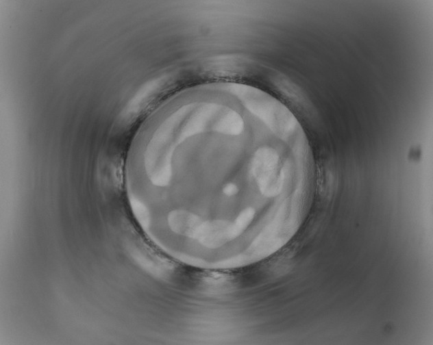 X0000111510718200908251113
