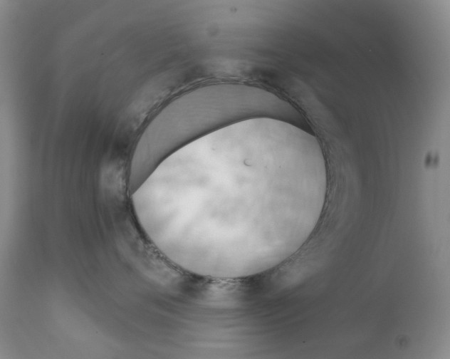 X0000111510720200908251113