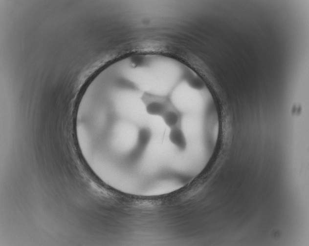 X0000111510721200908251112