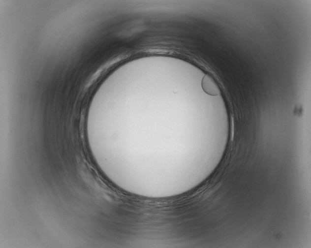 X0000111510723200908251112
