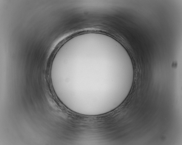 X0000111510724200908251112