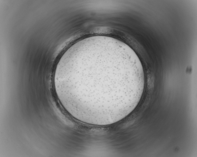 X0000111510725200908251112