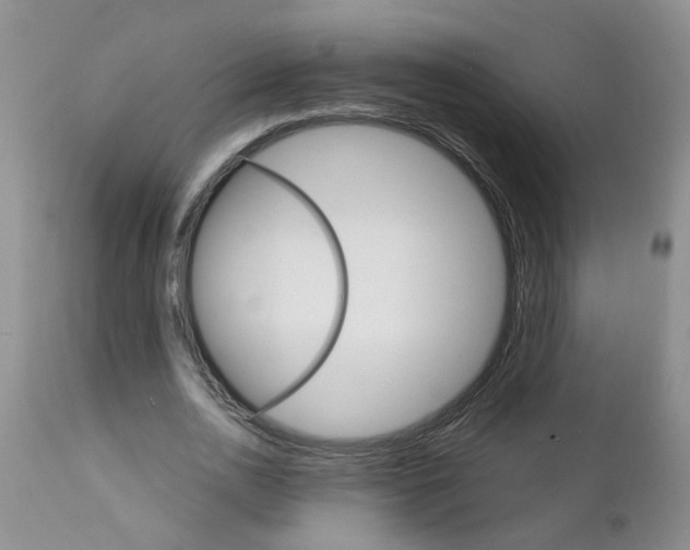 X0000111510726200908251112