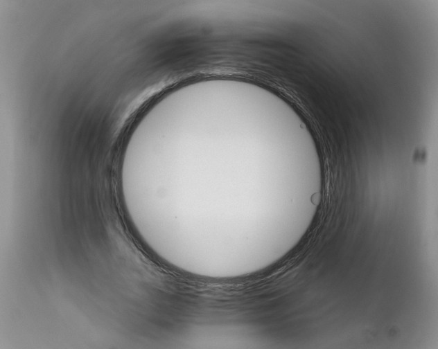 X0000111510727200908251112