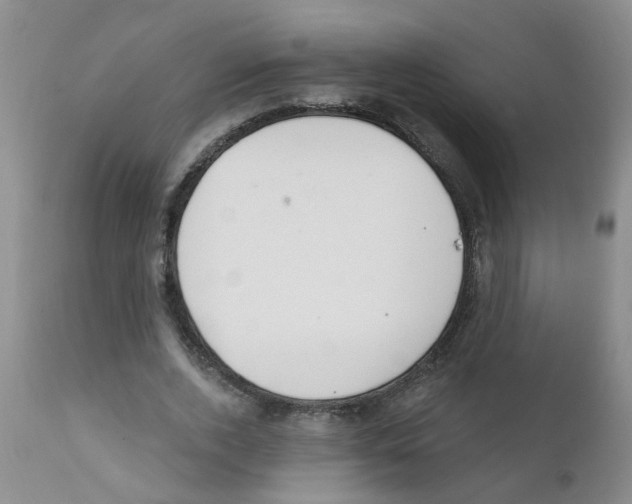 X0000111510728200908251112