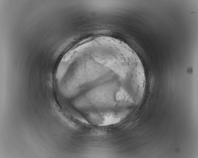 X0000111510729200908251112