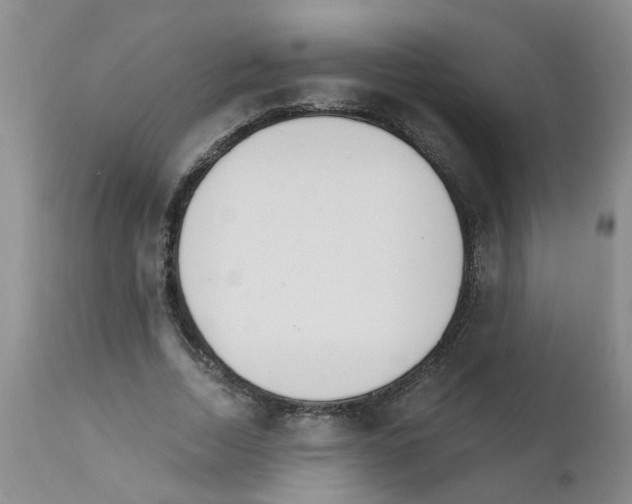X0000111510730200908251112